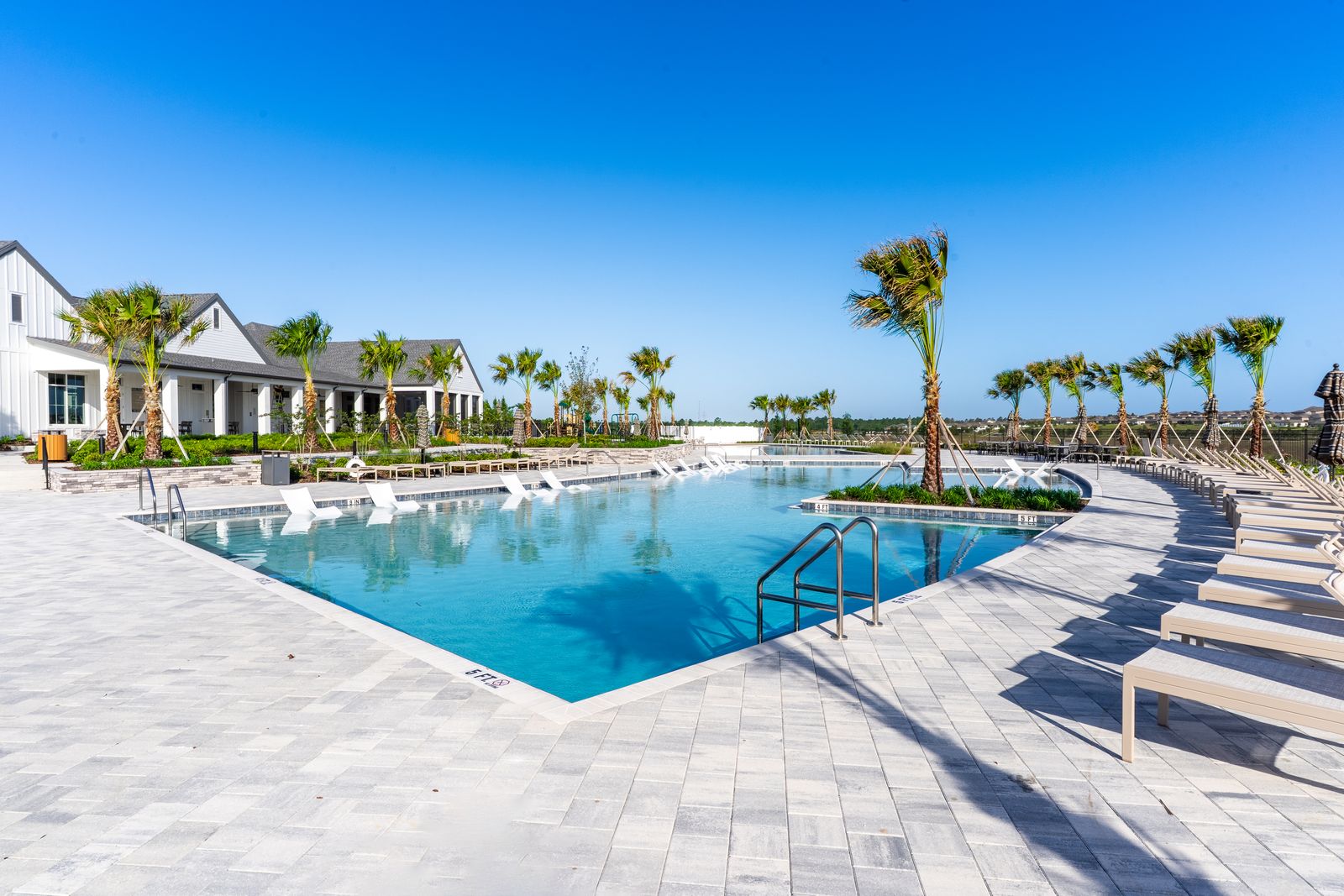Resort-style community pool with palm trees under a clear sky
